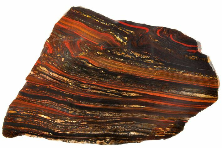 Polished Tiger Iron Stromatolite - Billion Years #129439
